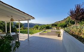 Ornament: Infinite Nature Villa