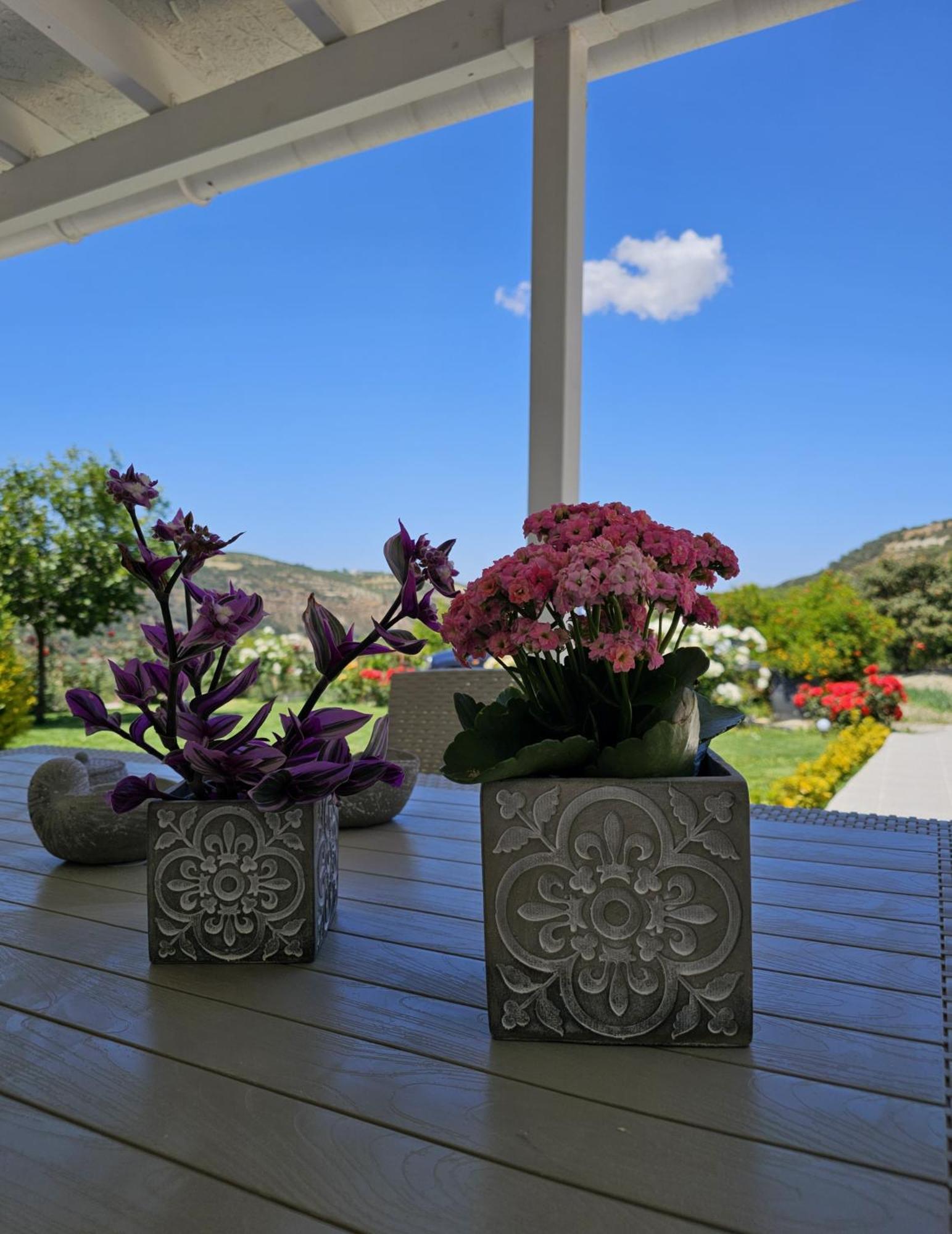 Ornament: Infinite Nature Villa Dhafnes Exterior photo